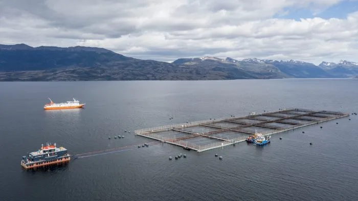 Natales y el deseo de ser la capital operativa y estratégica de la salmonicultura en Magallanes
